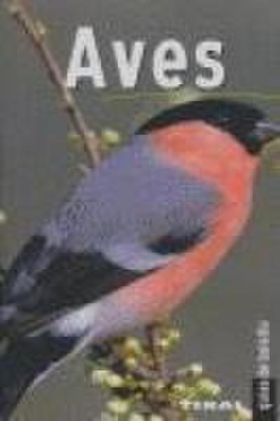 Aves