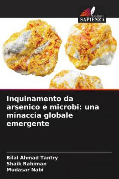 Inquinamento da arsenico e microbi: una minaccia globale emergente
