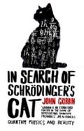 In Search Of Schrodinger’s Cat
