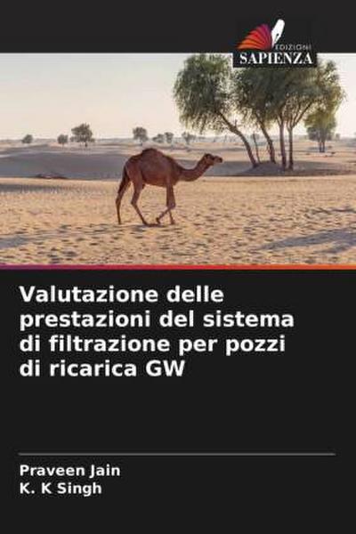 Valutazione delle prestazioni del sistema di filtrazione per pozzi di ricarica GW