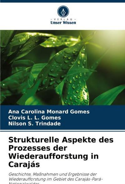 Strukturelle Aspekte des Prozesses der Wiederaufforstung in Carajás