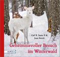 Geheimnisvoller Besuch im Winterwald