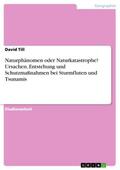 Naturphänomen oder Naturkatastrophe? Ursachen, Ent