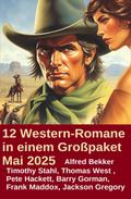 12 Western-Romane in einem Großpaket Mai 2025