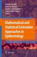 Mathematical and Statistical Estimation Approaches
