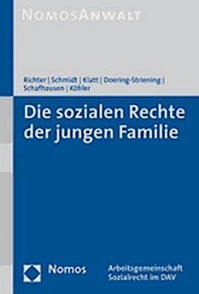 Die sozialen Rechte der jungen Familie