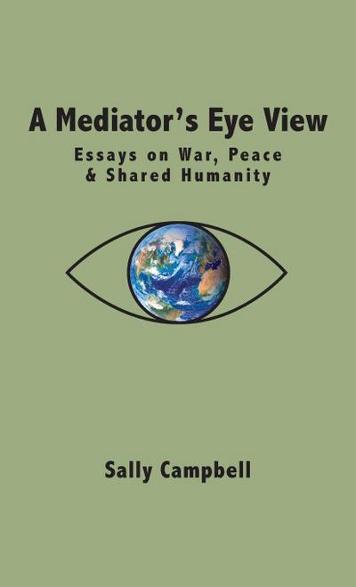 A Mediator’s Eye View
