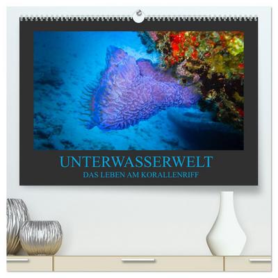 Unterwasserwelt - Das Leben am Korallenriff (hochwertiger Premium Wandkalender 2024 DIN A2 quer), Kunstdruck in Hochglanz