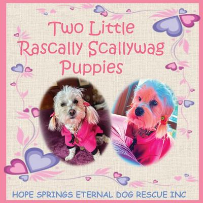 Two Little Rascally Scallywag Puppies