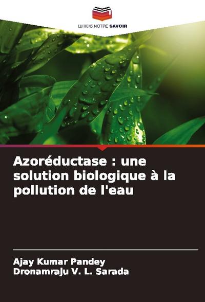 Azoréductase : une solution biologique à la pollution de l’eau