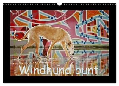 Windhund bunt (Wandkalender 2026 DIN A3 quer), CALVENDO Monatskalender