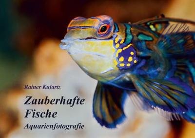 Zauberhafte Fische - Aquarienfotografie (Posterbuch DIN A2 quer)