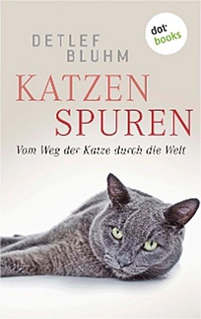 Katzenspuren