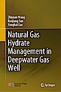 Natural Gas Hydrate Management in Deepwater Gas Well