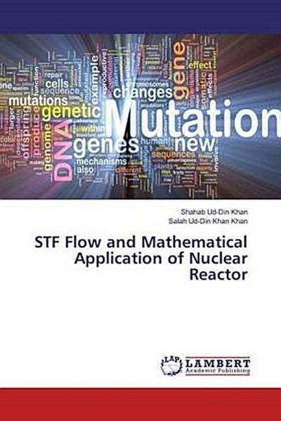 STF Flow and Mathematical Application of Nuclear Reactor