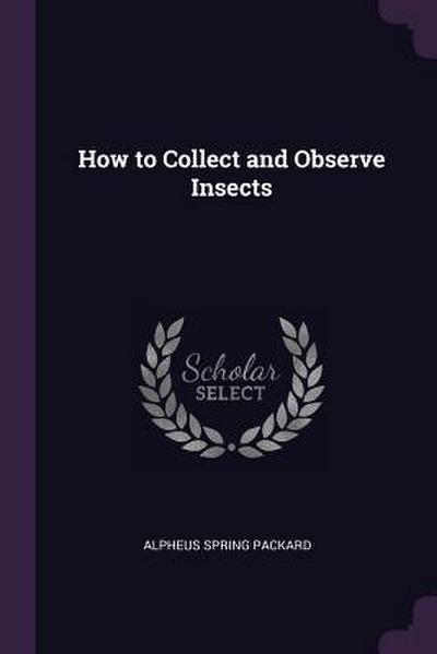 How to Collect and Observe Insects