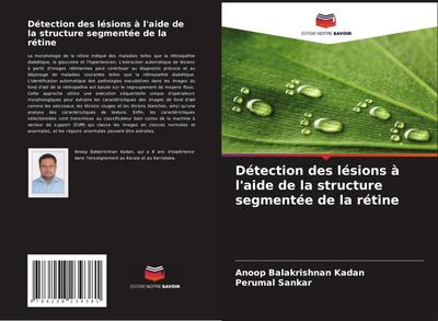 Détection des lésions à l’aide de la structure segmentée de la rétine