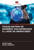 VISUALISATION DE DONNÉES VOLUMINEUSES À L’AIDE DE NANOCUBES