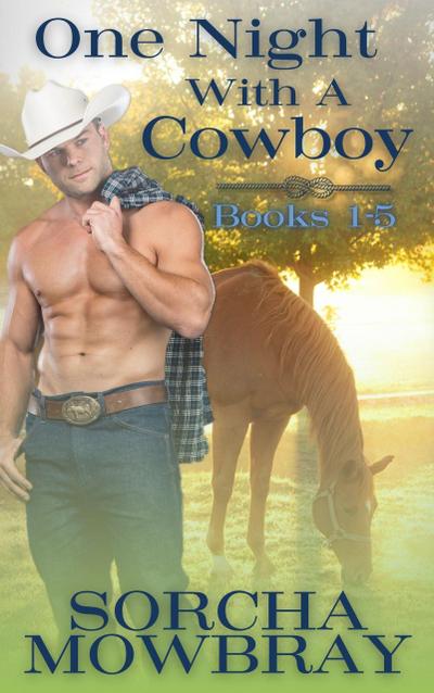 One Night With A Cowboy (Books 1-5)