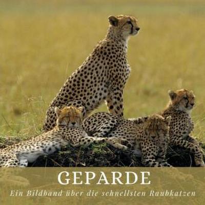 Geparde