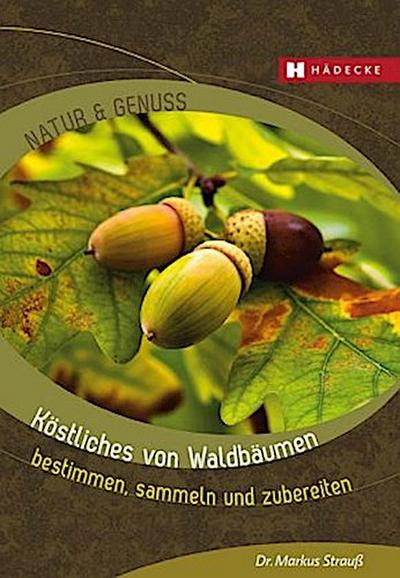 Köstliches von Waldbäumen