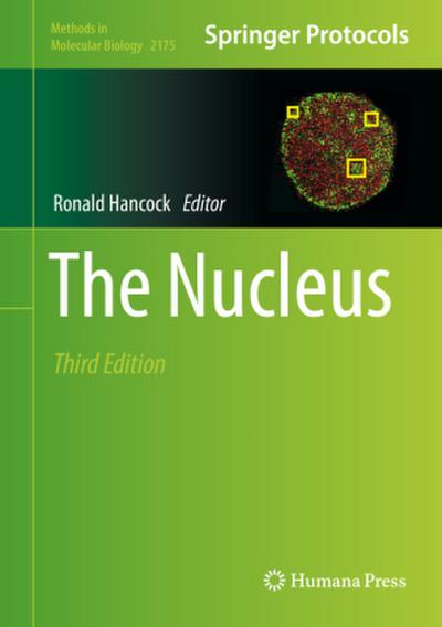 The Nucleus
