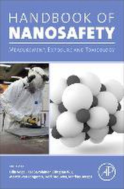 Handbook of Nanosafety