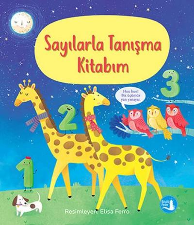 Sayilarla Tanisma Kitabim