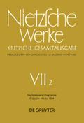 Nachgelassene Fragmente Frühjahr - Herbst 1884