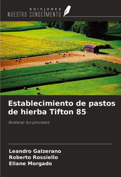 Establecimiento de pastos de hierba Tifton 85
