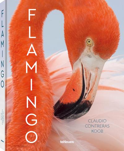 Contreras Koob, Flamingo