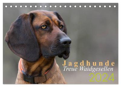 Jagdhunde - Treue Waidgesellen (Tischkalender 2024 DIN A5 quer), CALVENDO Monatskalender