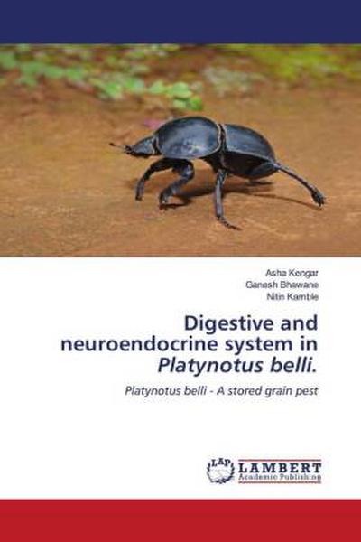 Digestive and neuroendocrine system in Platynotus belli.