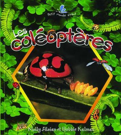 Les Coléoptères (the Life Cycle of a Beetle)