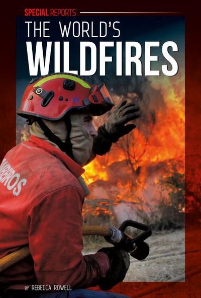 World’s Wildfires