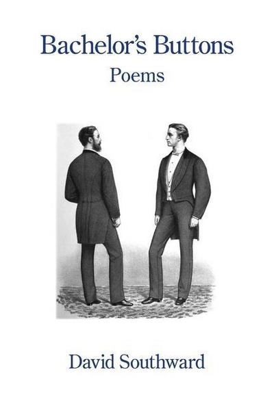 Bachelor’s Buttons