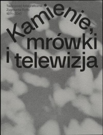 Zygmunt Rytka: Kamienie, mrówki i telewizja