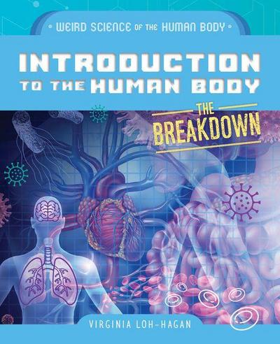 Introduction to the Human Body