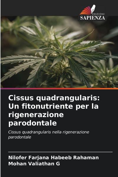 Cissus quadrangularis: Un fitonutriente per la rigenerazione parodontale