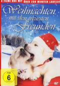 Weihnachts Hundebox Weihnachtsedition