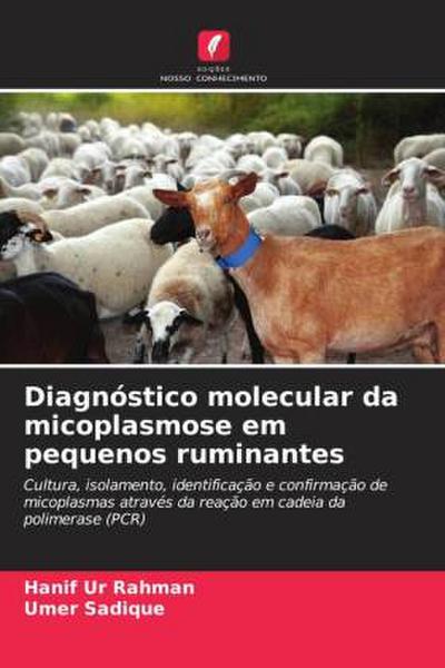 Diagnóstico molecular da micoplasmose em pequenos ruminantes