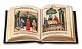 Tacuinum Sanitatis in Medicina