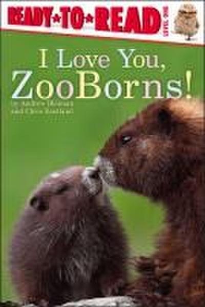 I Love You, Zooborns!
