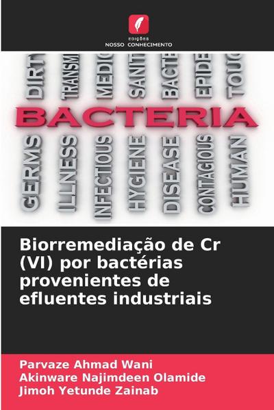 Biorremediação de Cr (VI) por bactérias provenientes de efluentes industriais