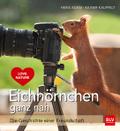 Eichhörnchen ganz nah | Buch