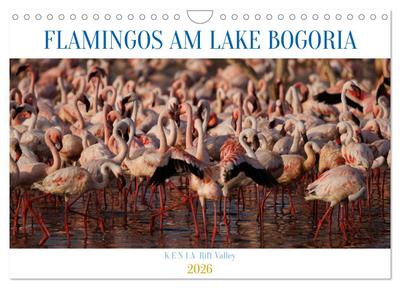 Flamingos am Lake Bogoria - Kenia (Wandkalender 2026 DIN A4 quer), CALVENDO Monatskalender