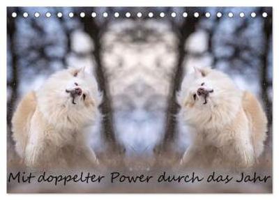 Mit doppelter Power durch das Jahr (Tischkalender 2026 DIN A5 quer), CALVENDO Monatskalender