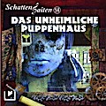 Schattensaiten - Das unheimliche Puppenhaus, 1 Audio-CD