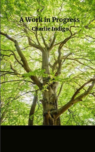 A Work in Progress...