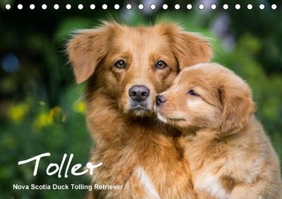 Toller - Nova Scotia Duck Tolling Retriever (Tischkalender 2017 DIN A5 quer)